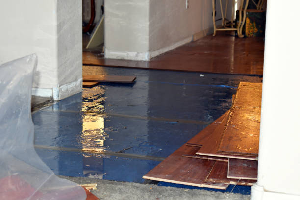 Professional Water Damage Restoration technician working in Walworth, WI